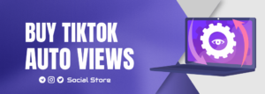 TikTok Auto Views