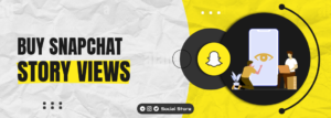Get snapchat story views